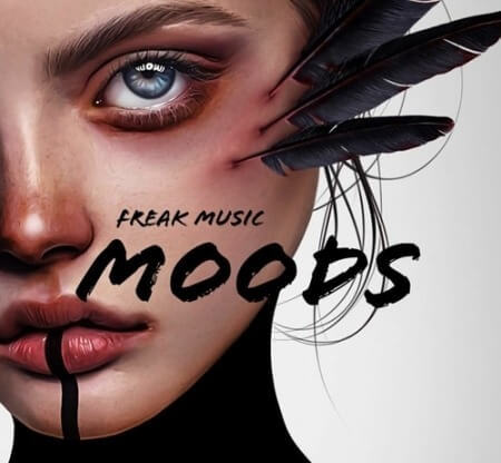 Freak Music Moods WAV MiDi Synth Presets